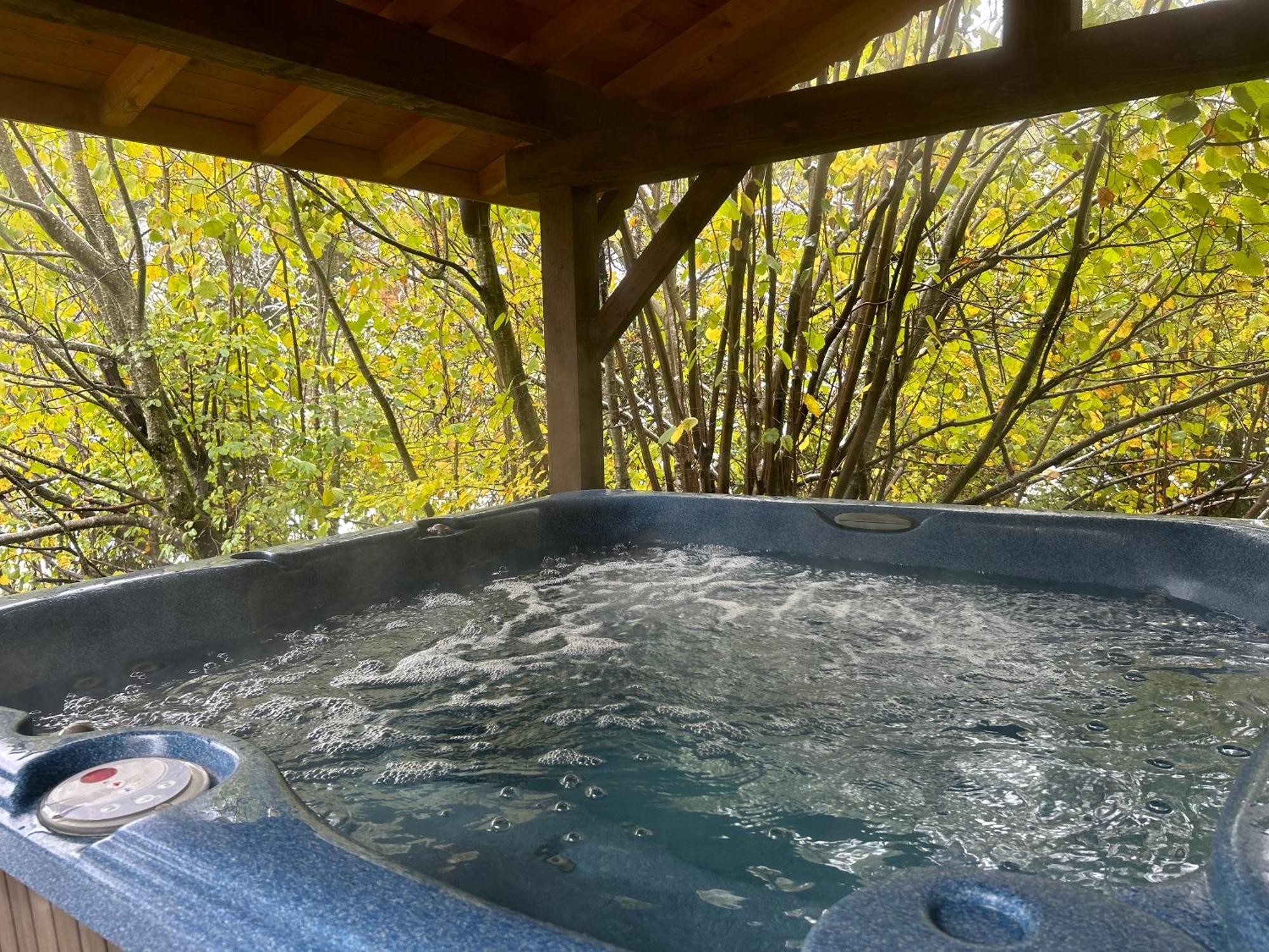 Chalet Adonis - Montriond, Morzine, Avoriaz Extérieur photo